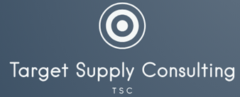 Tgtsc logo azul.png